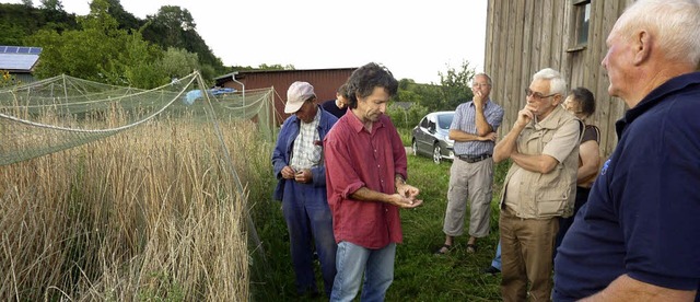 Projekt-Koordinator Marius Hrner von ...hsanbau verschiedener Getreidesorten.   | Foto: plenum naturgarten kaiserstuhl