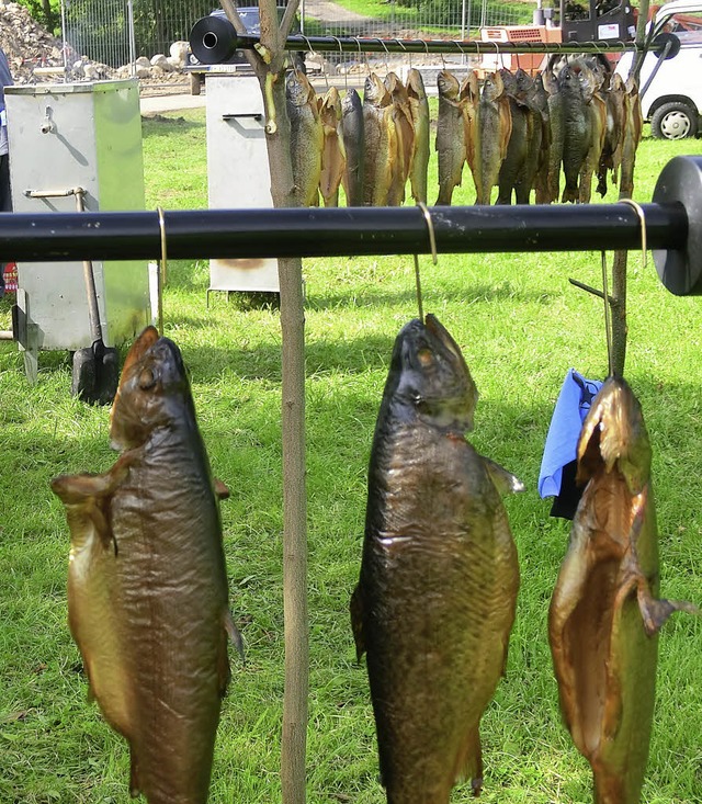 &#8222;Grundrohrlegung&#8220; im neuen...Fisch stammte aber aus dem Hintertal.   | Foto: Fotos: Gutjahr