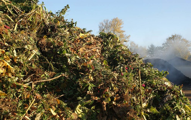 Im Herbst trmen sich auf den Grnschnittsammelpltzen die Gartenabflle.     | Foto: Hans-Jrgen Trul