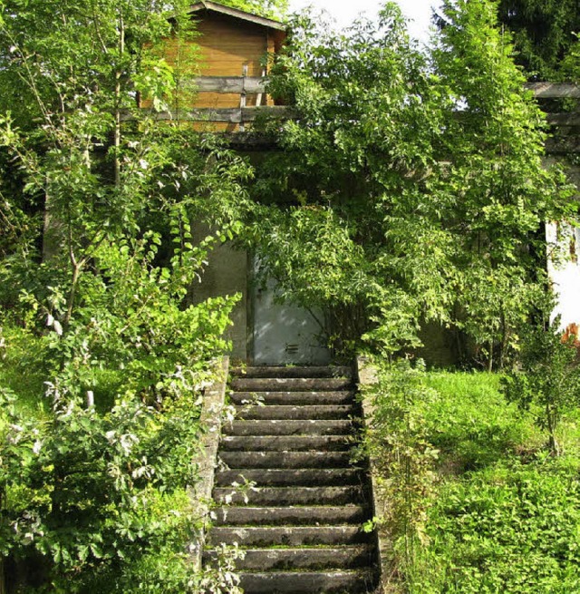 Hinter dem vielen Grn verbirgt sich  ...nhaus in schner Aussichtslage stehen.  | Foto: Manfred Lange