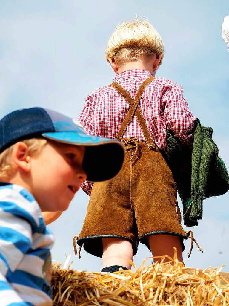 Die kleinen Gste machten es sich derweil gemtlich auf den Strohballen