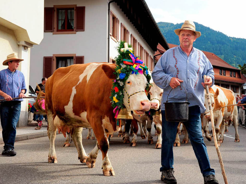 Almabtrieb in Simonswald 2012