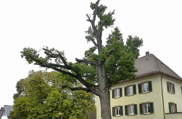 Bald nur noch ein Geschichtsbild, die ...ion mit grnen Krnzen geschmckt war.  | Foto: Lauffer