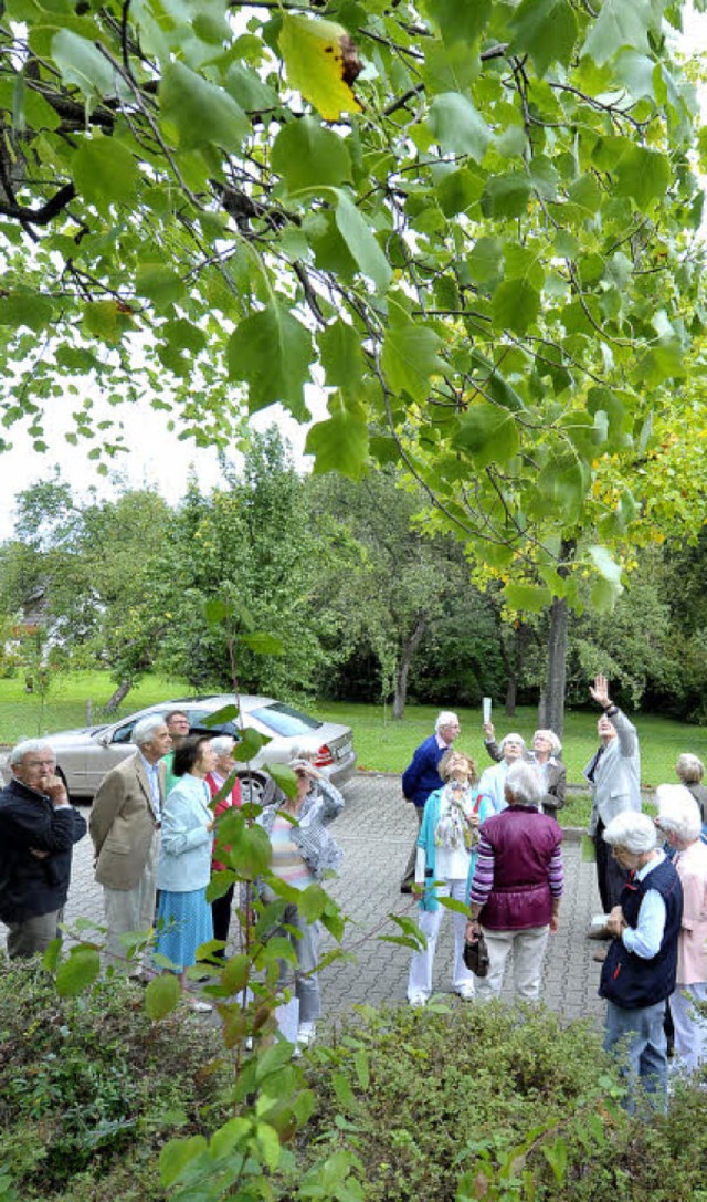 Was fr ein Baum ist das? Die Senioren...en neuen Pflanzenlehrpfad als Erstes.   | Foto: Michael Bamberger