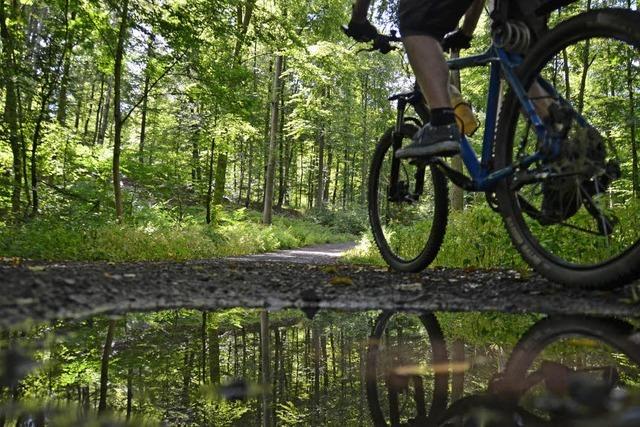 Mountainbike-Trainingsflchen: Freiburger Forst im Visier