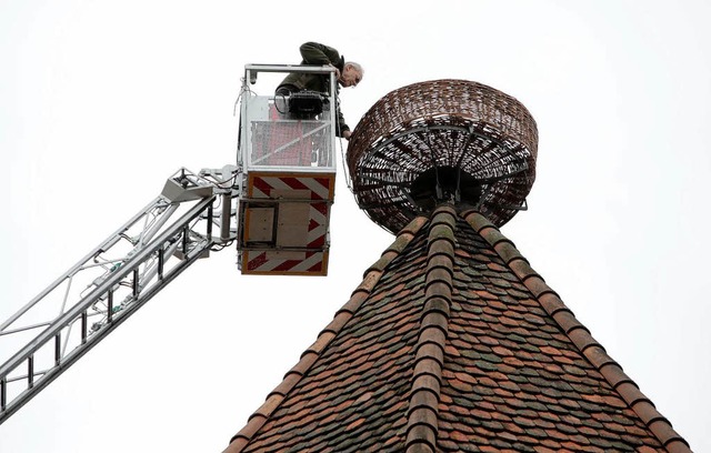 Hoch droben auf dem Storchenturm.  | Foto: Christoph Breithaupt