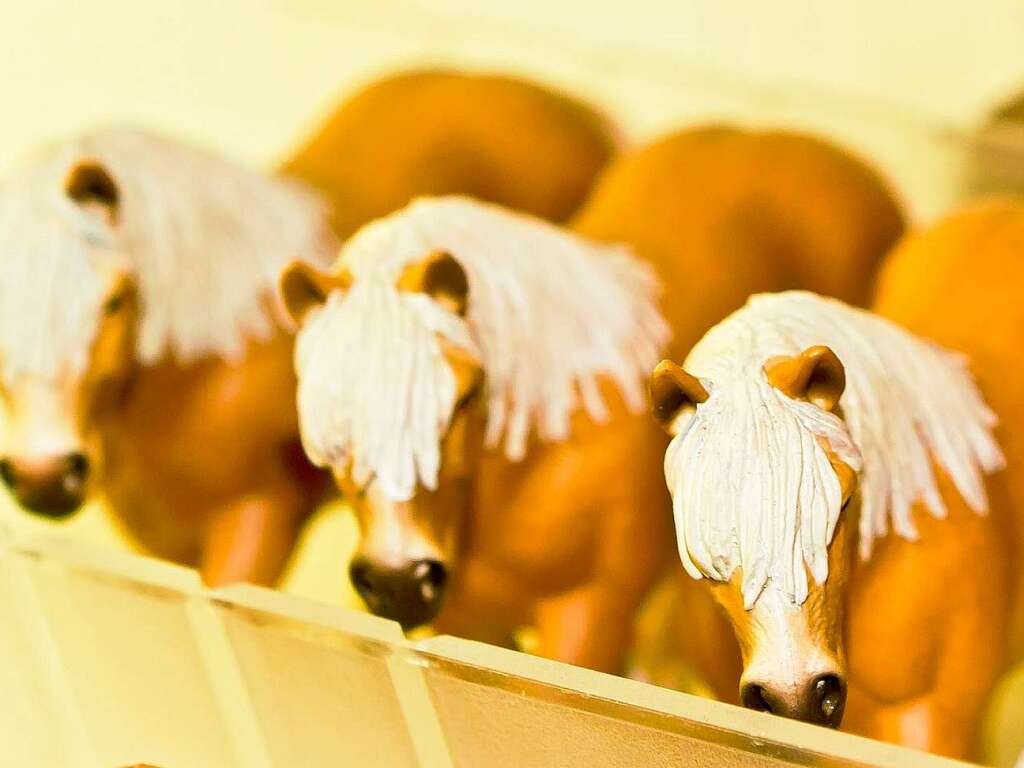 Bunte Artenvielfalt in Freiburg. Bunte Artenvielfalt in Freiburg.