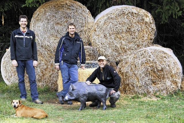 Die Meisterschaft im Wald