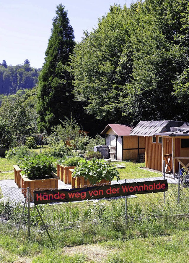 Umstritten ist eine mgliche Bebauung der Wonnhalde.   | Foto: Schneider