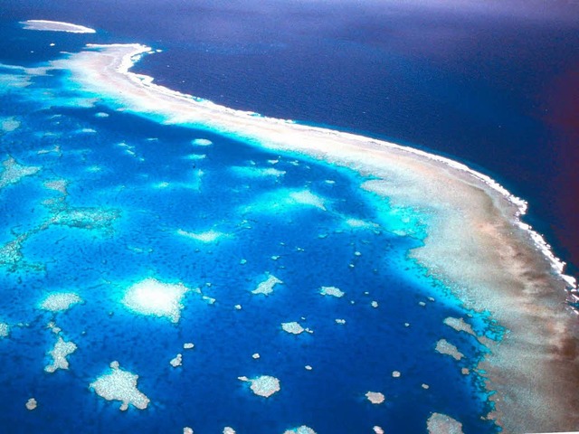 Das Korallensterben am Great Barrier R...t dramatischer als bislang angenommen.  | Foto: dpa