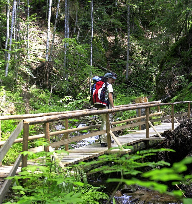 Wandern im Schluchtensteig  | Foto: privat