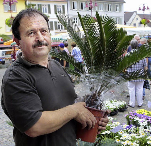Canani Baydaroglu verkauft Blumen und Pflanzen.   | Foto: C. Breithaupt