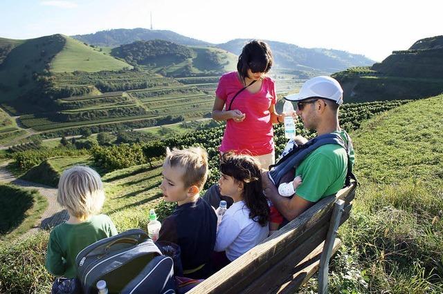 Das Picknick ist angerichtet