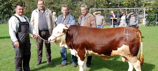 Der Bulle &#8222;Aglaha&#8220; von Kla...Auktionsleiter Franz Maus (von links).  | Foto: Ulrike Jger