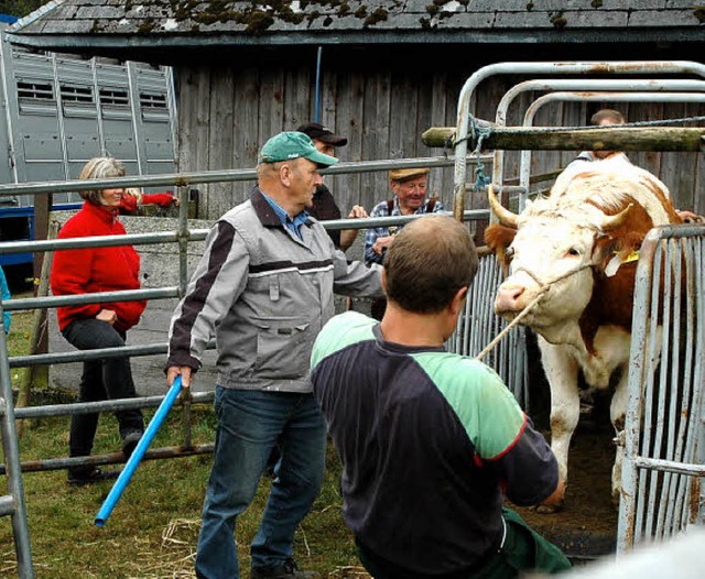 79 Jungkhe sind am Samstag von der So...aden wehrte sich aber manche ein Tier.  | Foto: Christiane Sahli