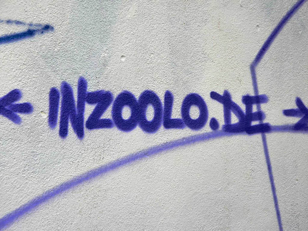 Mehr Infos zu Zoolo und seinen Workshops gibt es im Internet. Mehr Infos zu Zoolo und seinen Workshops gibt es im Internet.