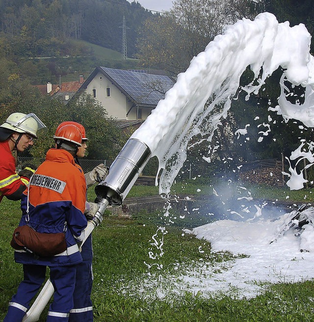 Der Schaumlschangriff der Jugendfeuerwehr Grimmelshofen funktionierte bestens!  | Foto: Binner-Schwarz