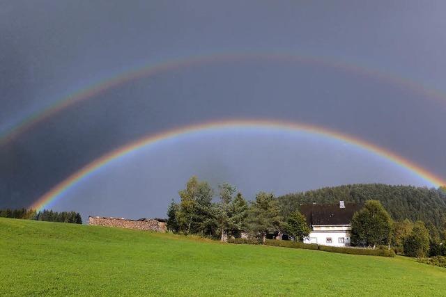 Ein ganz mittelmiger Monat