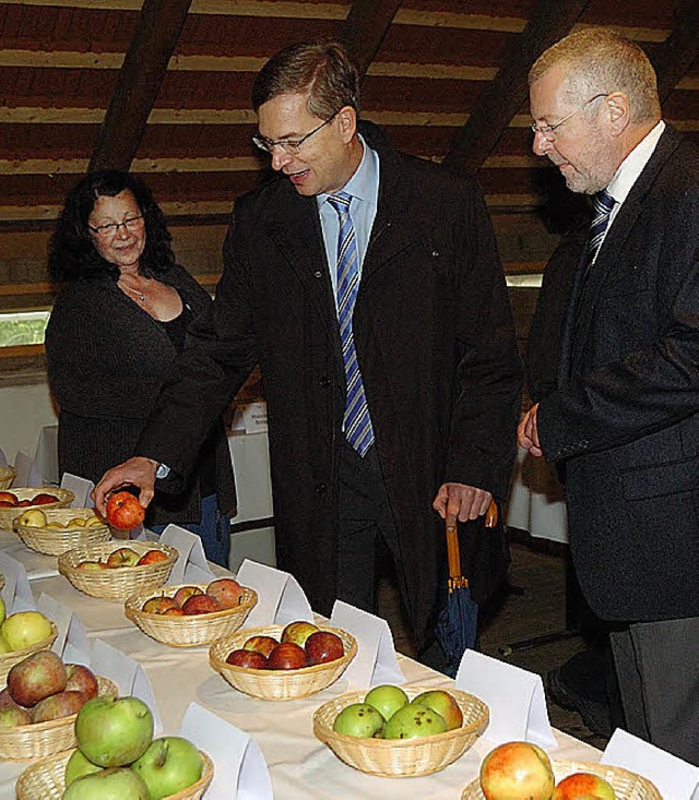 Die Qual der Wahl hat Landrat Hanno Hu...ie Merkmale der jeweiligen Apfelsorte.  | Foto: Jrgen Schweizer