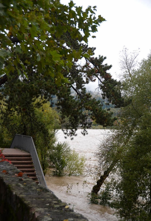Hochwasser in Bad Sckingen  | Foto: Svenja Groschupp