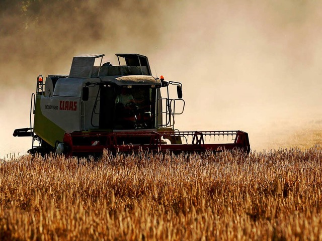 Bauer auf einem Getreidefeld.  | Foto: dapd