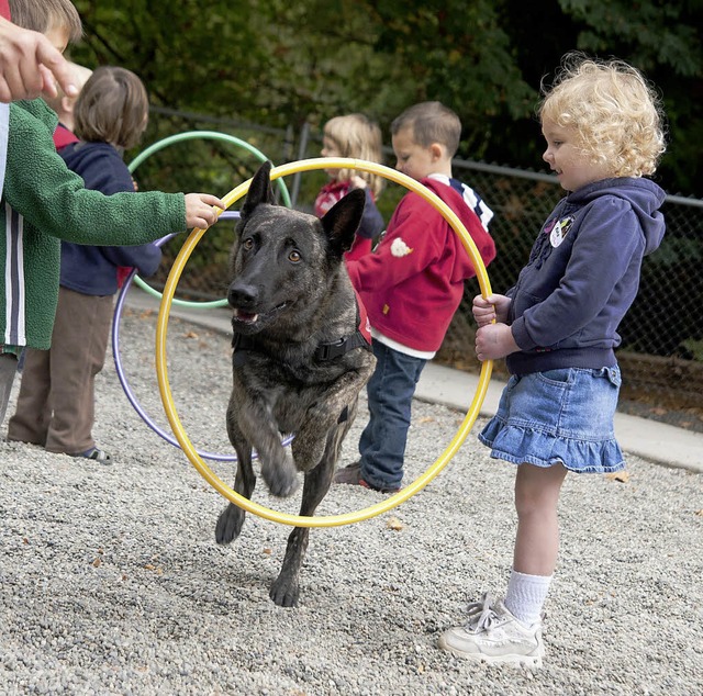 Der Hollndische Schferhund Glenmore ...ehr viel Spa am gemeinsamen Spielen.   | Foto: Gottfried Reinbold