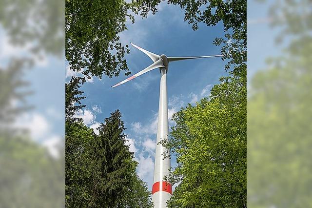 Grnes Licht fr gemeinsame Windkraft-Planung