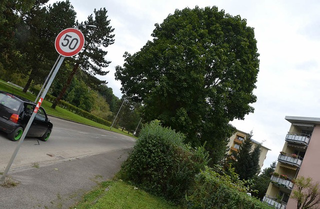 Wo die knftige Zollfreie die sogenann...der Ausschuss fr Umwelt und Technik.   | Foto: Andreas Frey