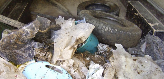 Plastik, alte Reifen und sonstiger Ml... des Kanuclubs Flinke Paddel zusammen.  | Foto: privat