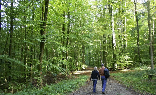 Wanderungen  in den Wldern rund um Ka...der Feriengste, vor allem im Herbst.   | Foto: Victoria Langelott