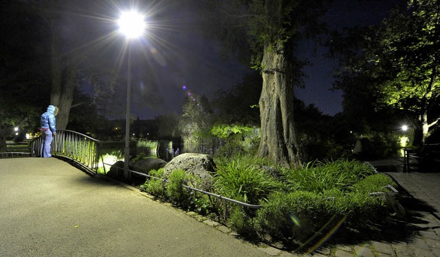 Der Stadtgarten wird bereits seit Mai ...eltfreundlichen LED-Lampen beleuchtet.  | Foto: michael bamberger