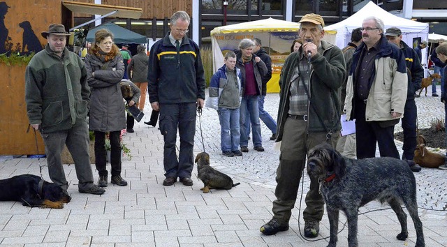 Auch Jagdhunde wurden bei den Rothirsc...ung der verschiedenen Rassen verfolgt.  | Foto: Claudia Renk