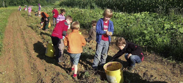 Die groen  Kinder des Kinderhauses &#...teten voller Begeisterung Kartoffeln.   | Foto: Privat