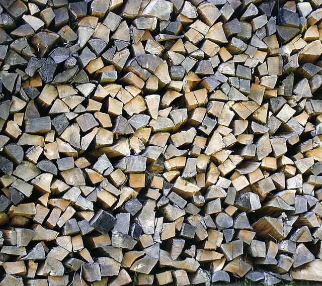 Der Energietrger Holz in Heizsystemen...ema bei den Ettenheimer Energietagen.   | Foto: Erika Sieberts