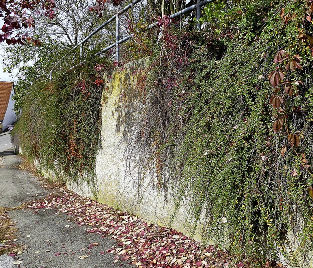 Eng ist es inzwischen fr Fugnger auf dem Gehweg am Mhlesteig in Bachheim.   | Foto: Karla Scherer