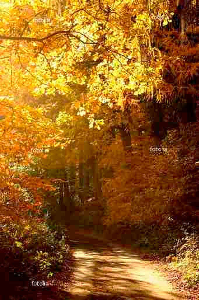 Goldener Herbst in Deutschland.