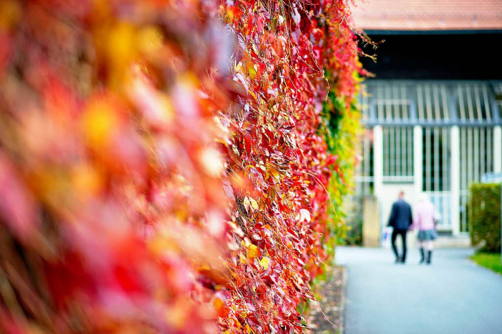 Goldener Herbst in Deutschland.