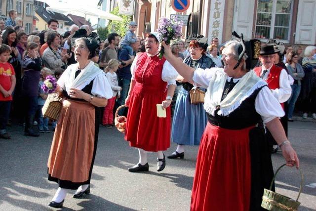 Fotos: Goldener Herbstausklang in Ihringen