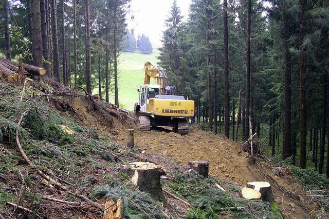 Gersbach bekommt neue Waldwege