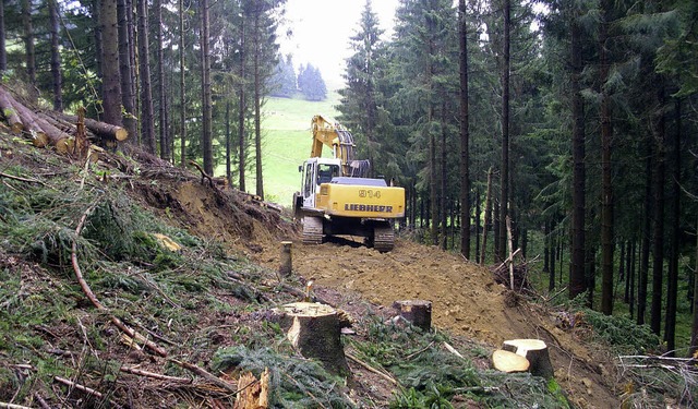 Insgesamt fnfzig Kilometer Wege werde... &#8211; wie hier &#8211; neu gebaut.   | Foto: Privat