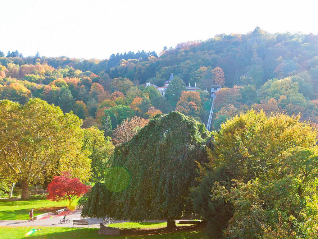 Herbstliche Atmosphre im Stadtgarten Freiburg