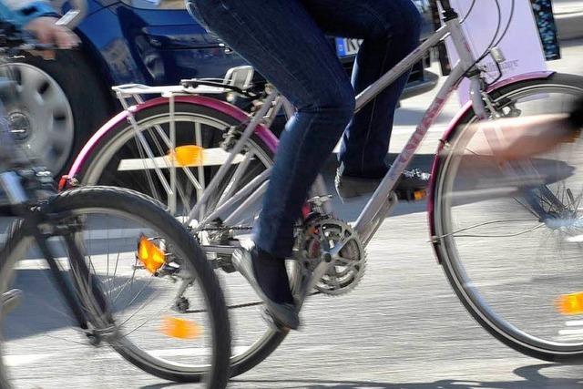 Papp-Fahrrad fr sieben Euro