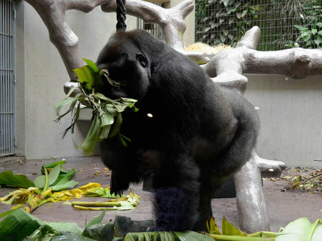 Zisch-Reporter im Zoo Basel: Die Viertklässler der Grundschule Salzert sind jetzt richtige