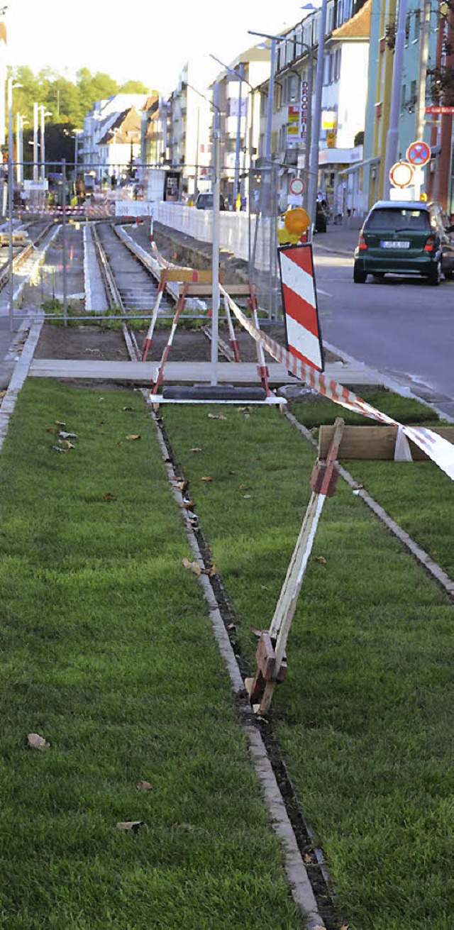 Rollrasen verschnert in Friedlingen die Tramtrasse.   | Foto: SENF