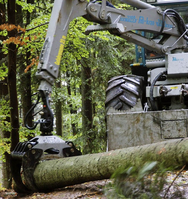 Der Wald splt derzeit viel Geld in die Gemeindekasse.   | Foto: A. Steinhart