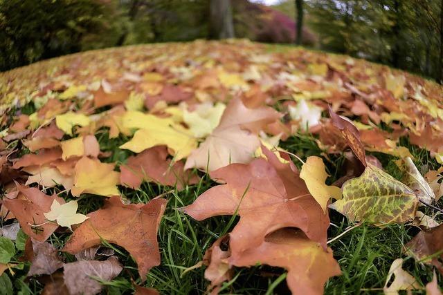 DER HERBST