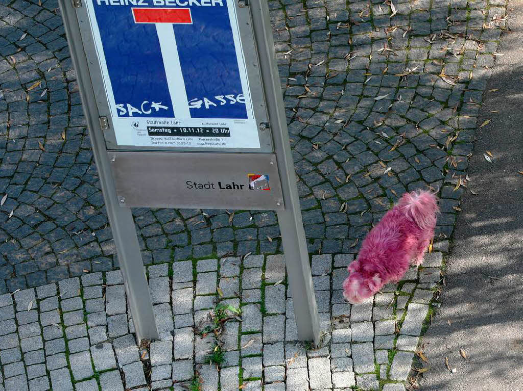 ...dann mal schauen, wer sich bereits an der Lahrer Info-Tafel verewigt hat...