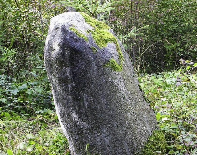 Ein Megalith, entdeckt bei Schwrstadt   | Foto: BZ
