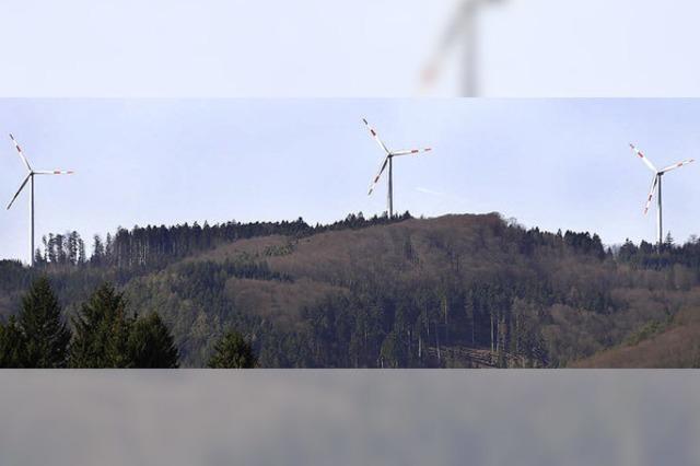 Fünf mögliche Flächen für Windkraft