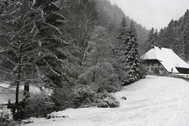 Wintereinbruch kommt sehr frh